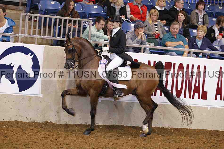 Proof 11usn_07593