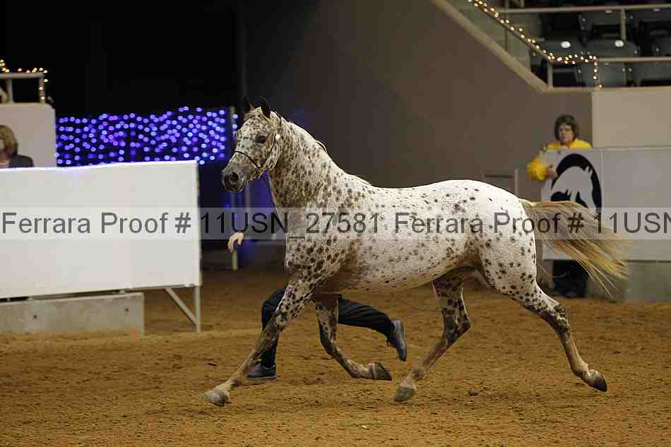 Proof 11usn_27581