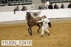11usn_32416 proof