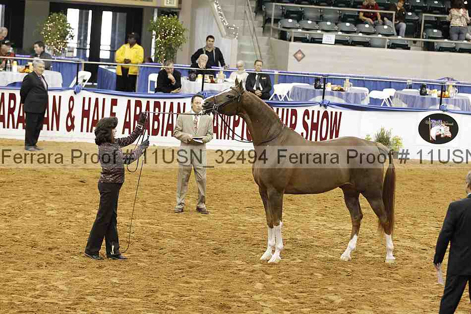 Proof 11usn_32494