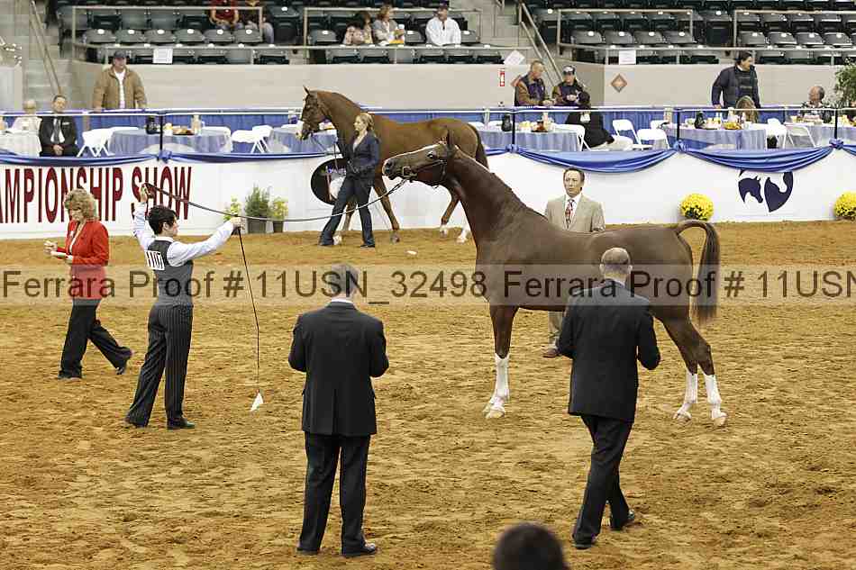 Proof 11usn_32498