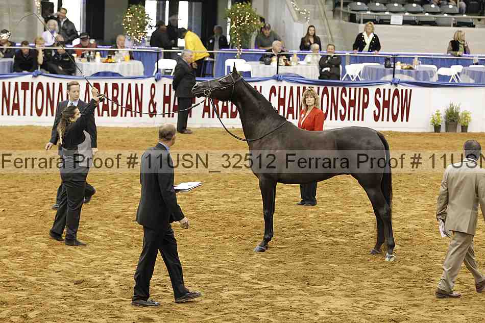 Proof 11usn_32512