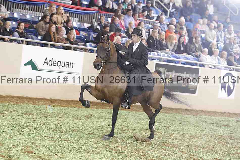 Proof 11usn_26631