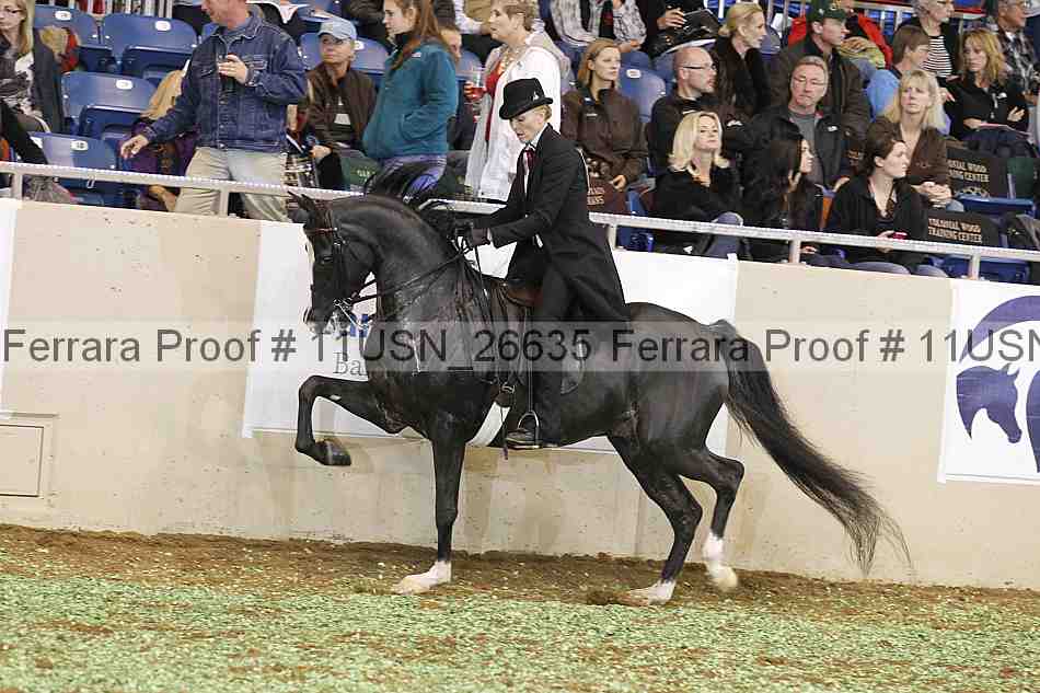 Proof 11usn_26635
