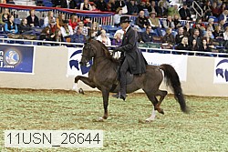 11usn_26644 proof