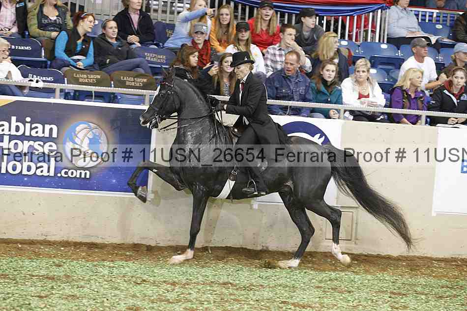 Proof 11usn_26654