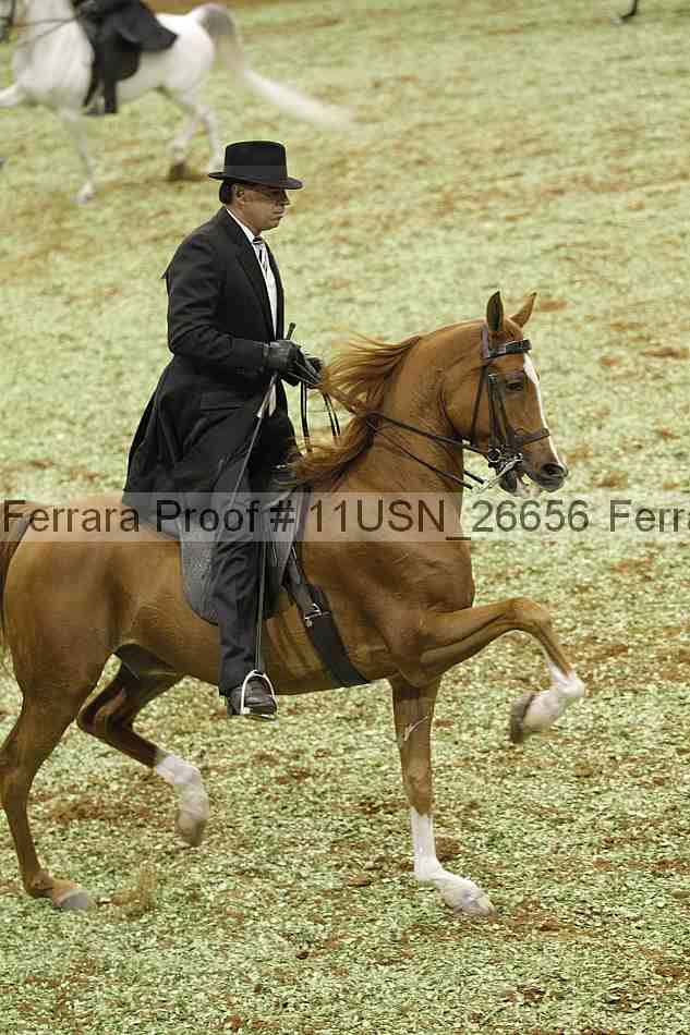 Proof 11usn_26656
