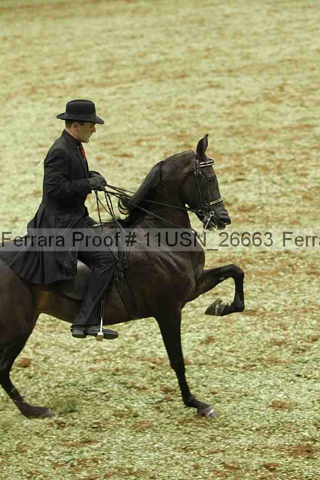 Proof 11usn_26663