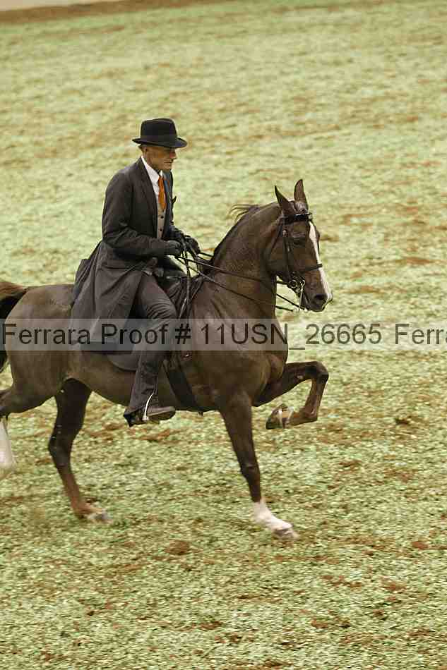 Proof 11usn_26665