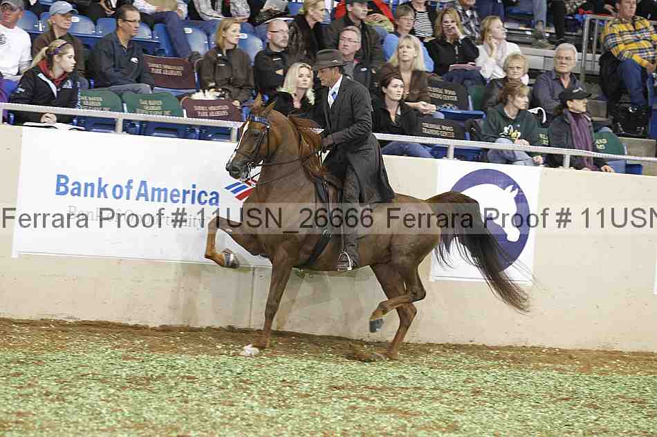 Proof 11usn_26666