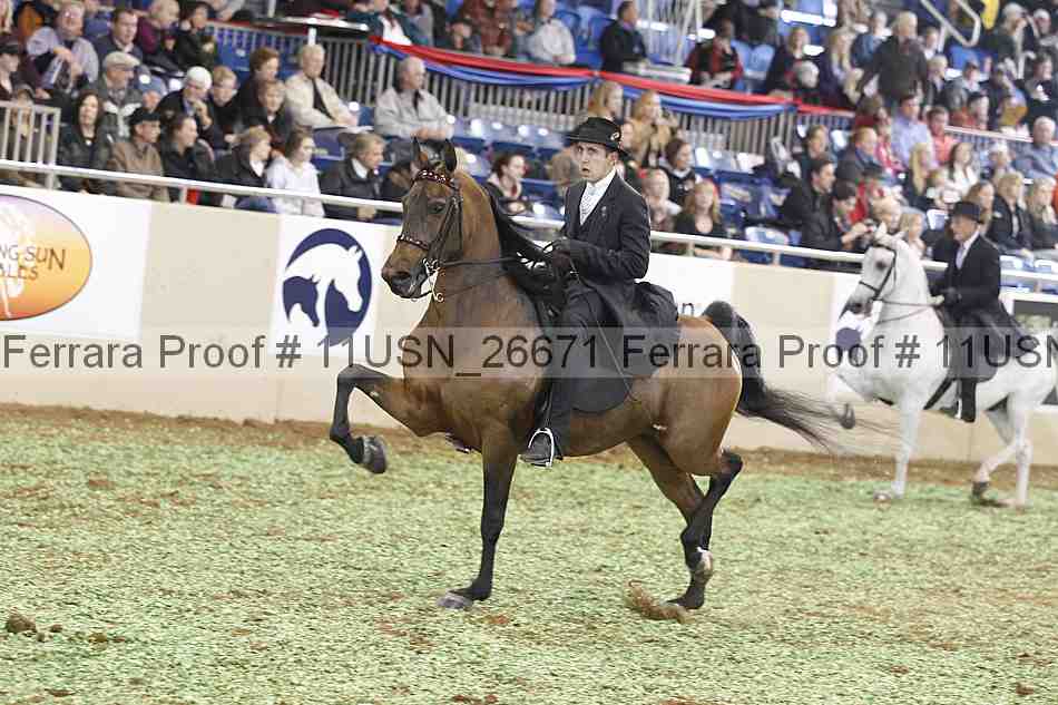 Proof 11usn_26671