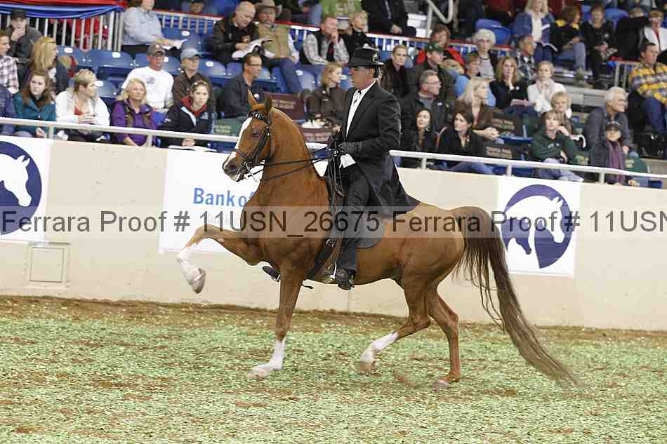 Proof 11usn_26675