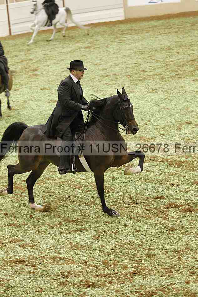 Proof 11usn_26678