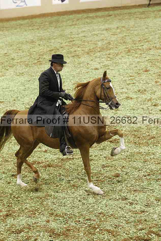 Proof 11usn_26682