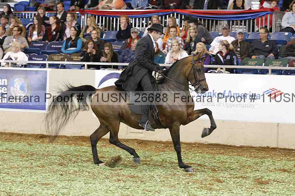 Proof 11usn_26688