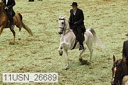 11usn_26689 proof