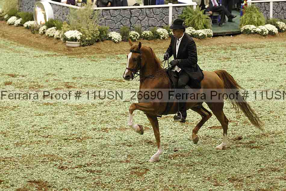 Proof 11usn_26690