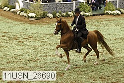 11usn_26690 proof