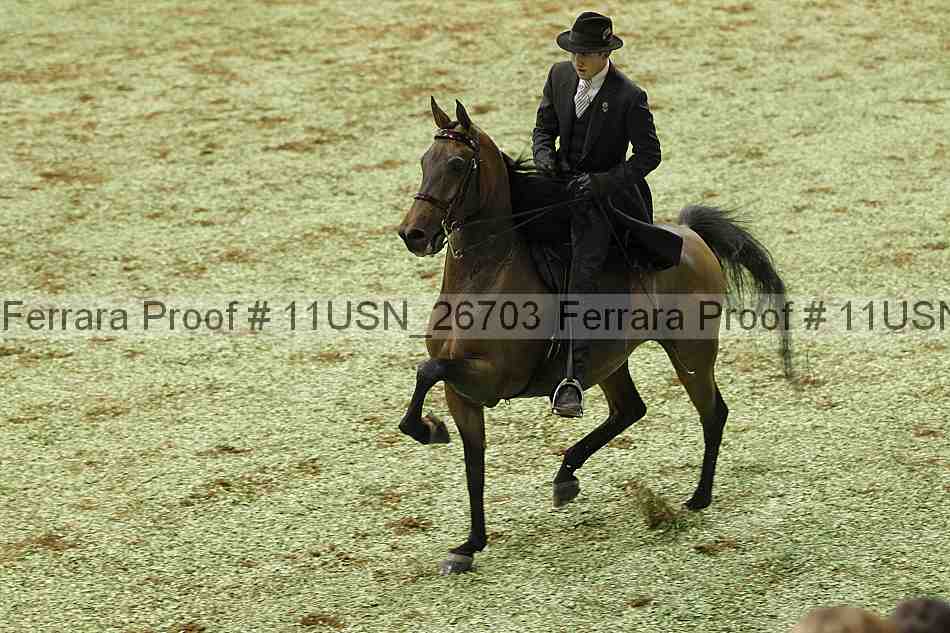 Proof 11usn_26703