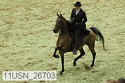 11usn_26703 proof