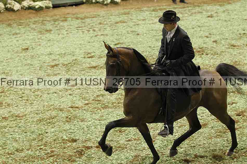 Proof 11usn_26705