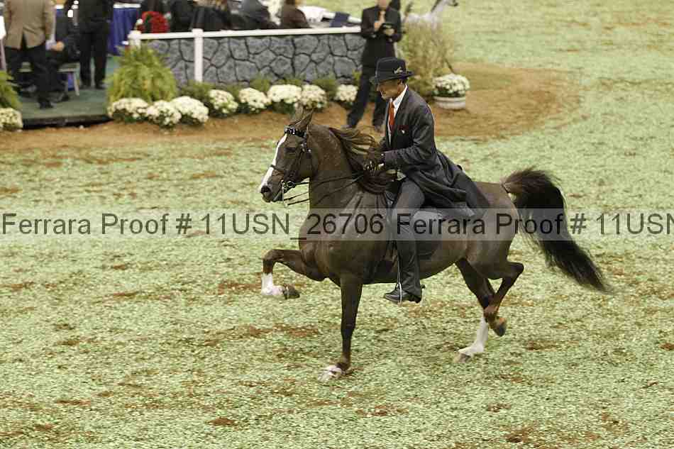 Proof 11usn_26706