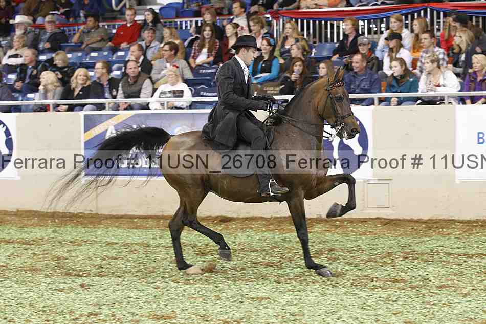 Proof 11usn_26708