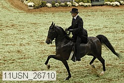 11usn_26710 proof