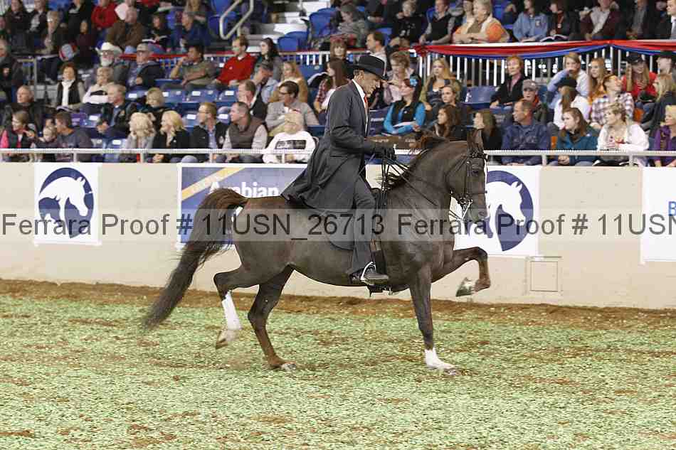 Proof 11usn_26713
