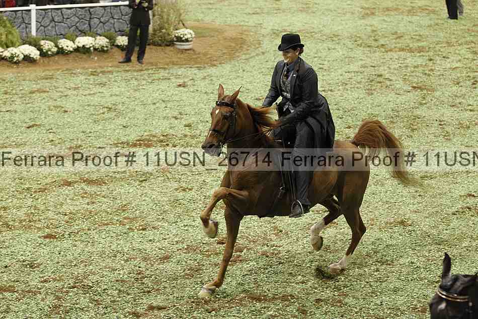 Proof 11usn_26714