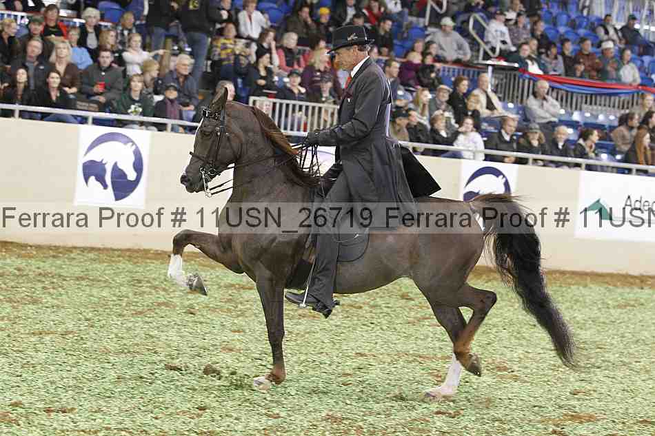 Proof 11usn_26719