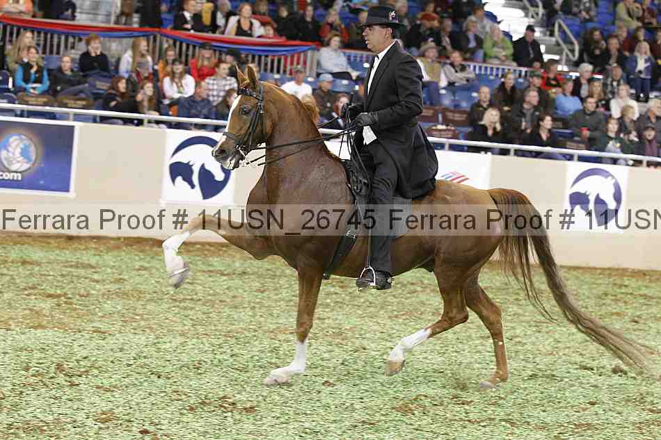 Proof 11usn_26745