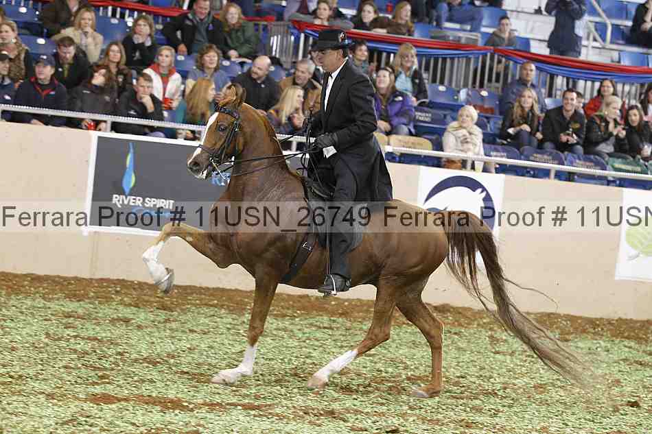 Proof 11usn_26749