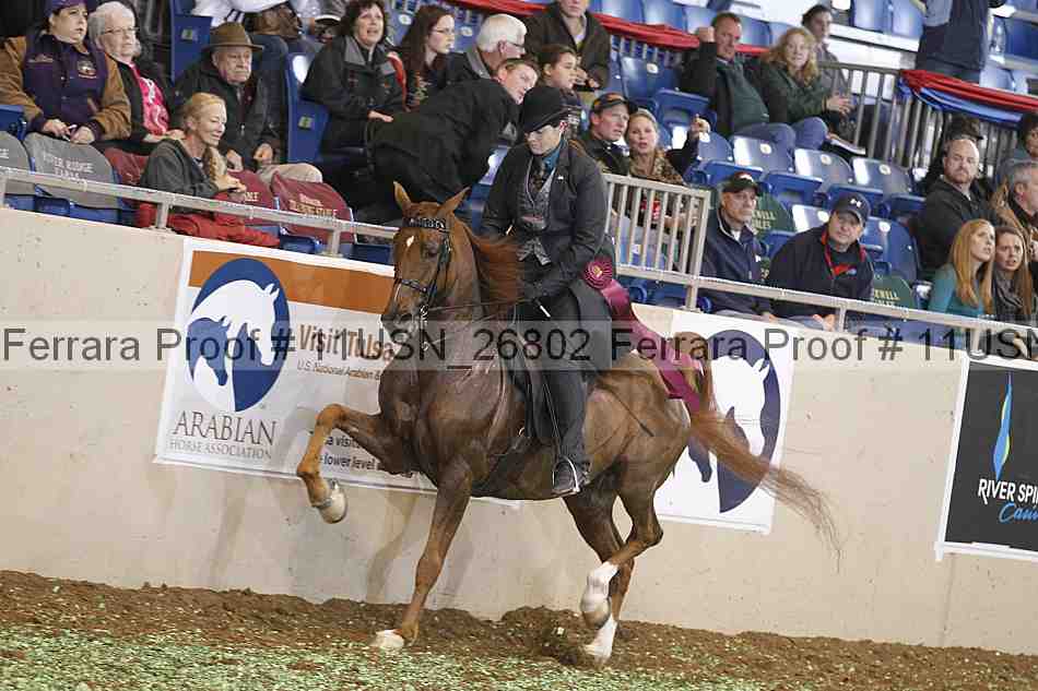 Proof 11usn_26802