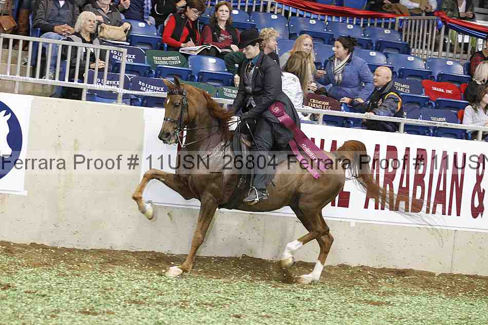 Proof 11usn_26804