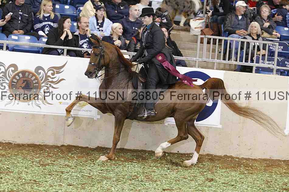 Proof 11usn_26805