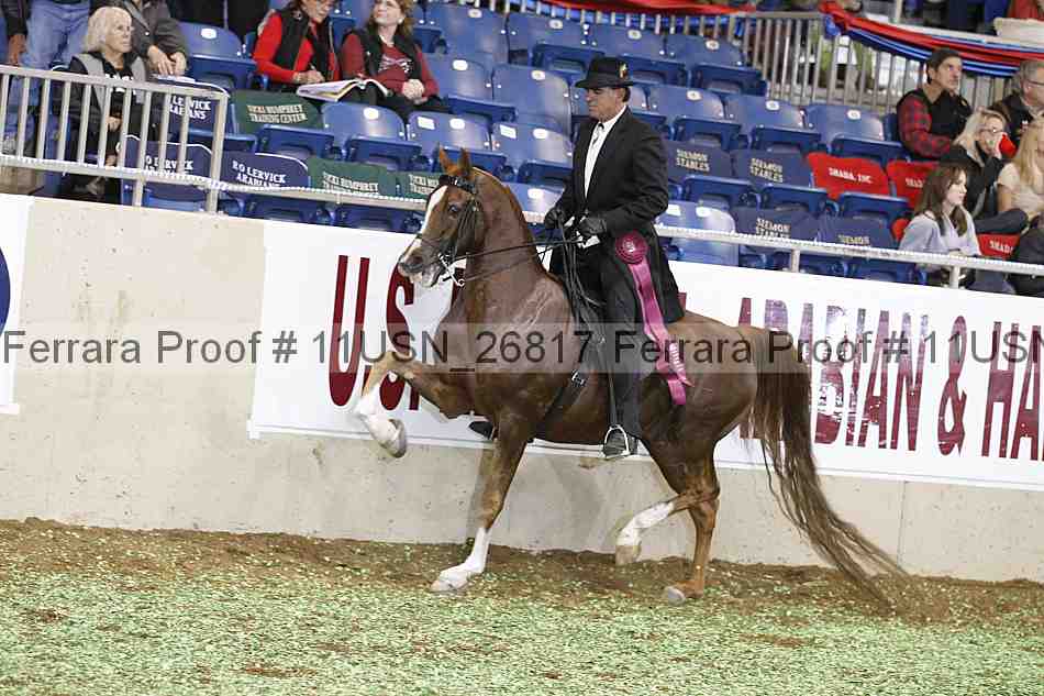 Proof 11usn_26817