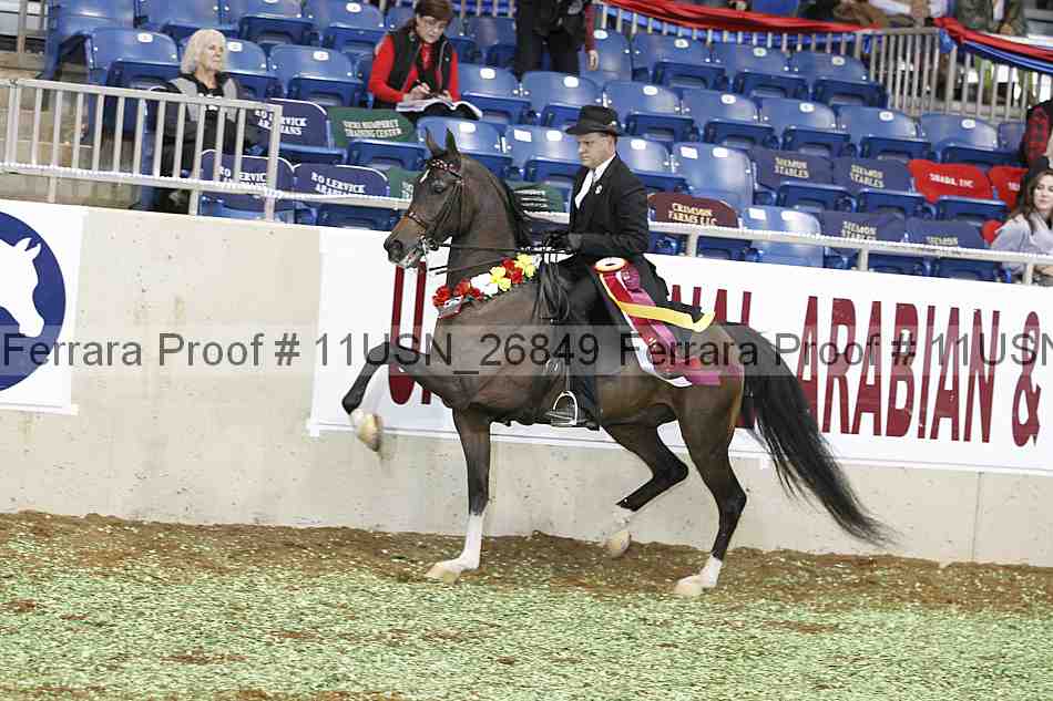 Proof 11usn_26849