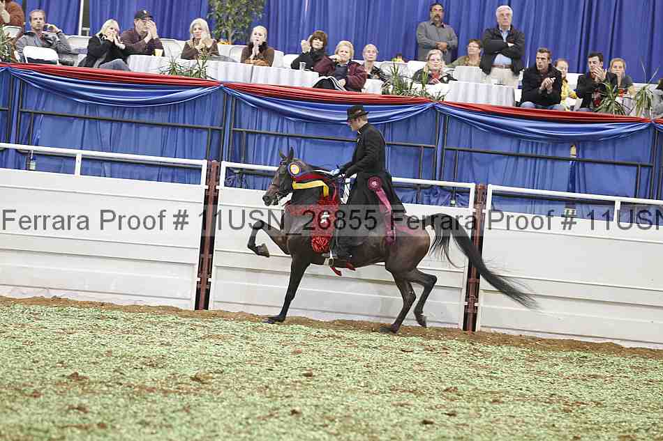 Proof 11usn_26855