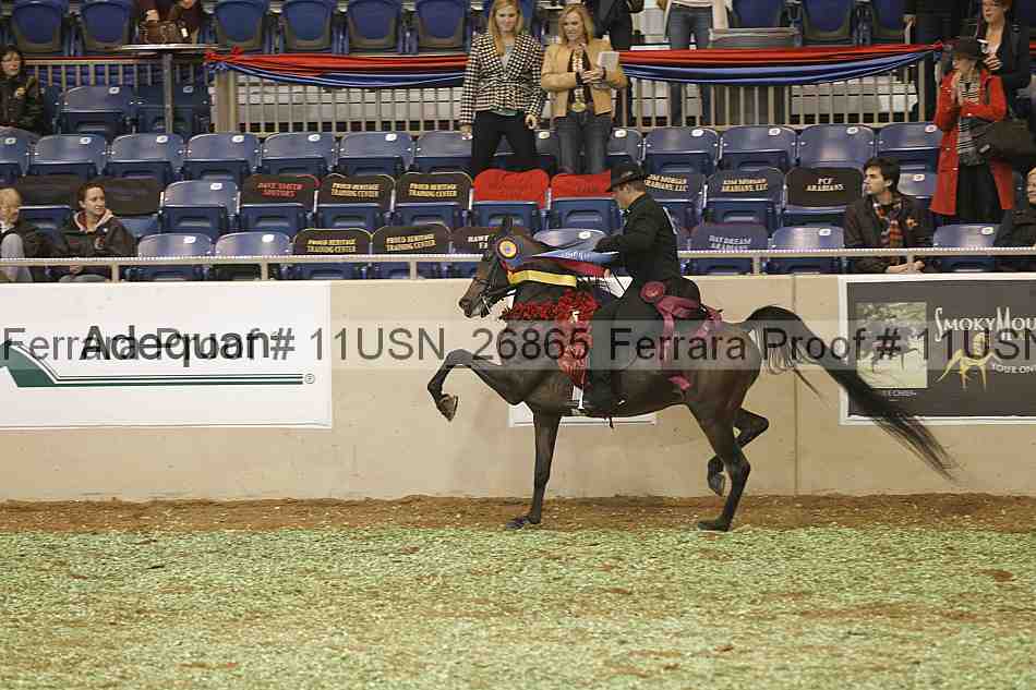 Proof 11usn_26865