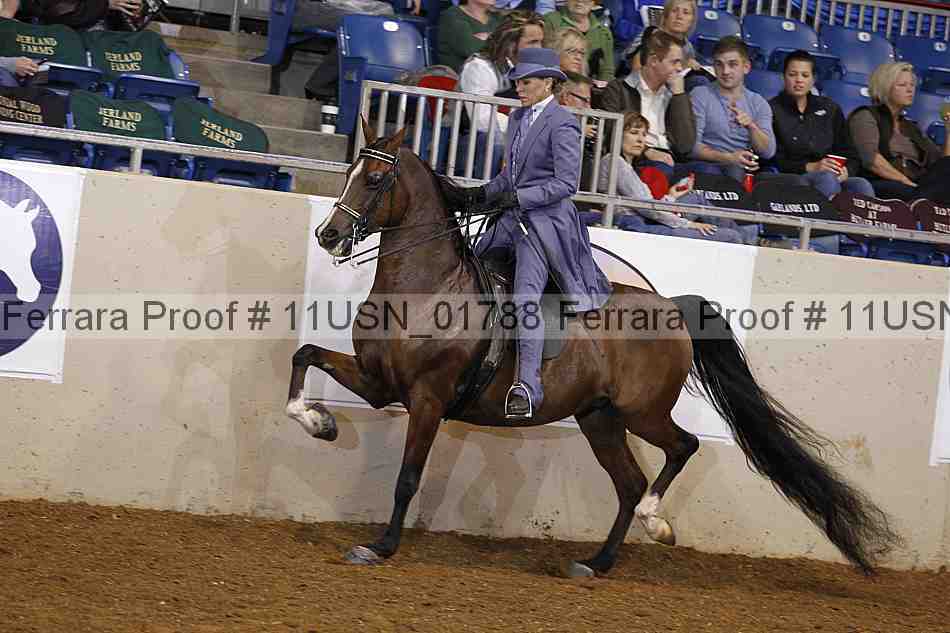 Proof 11usn_01788