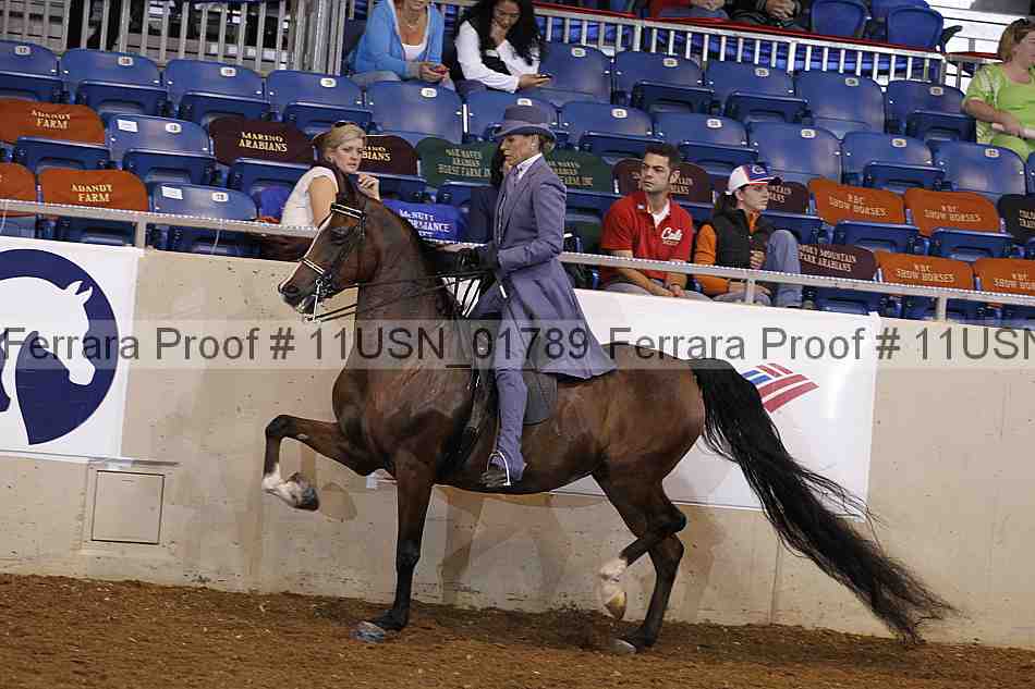 Proof 11usn_01789