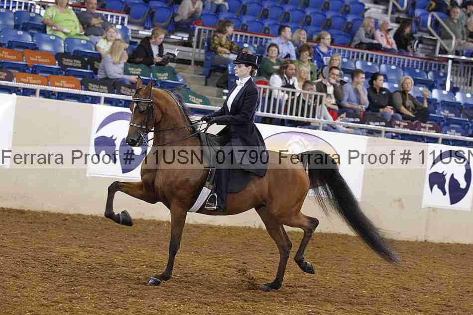Proof 11usn_01790
