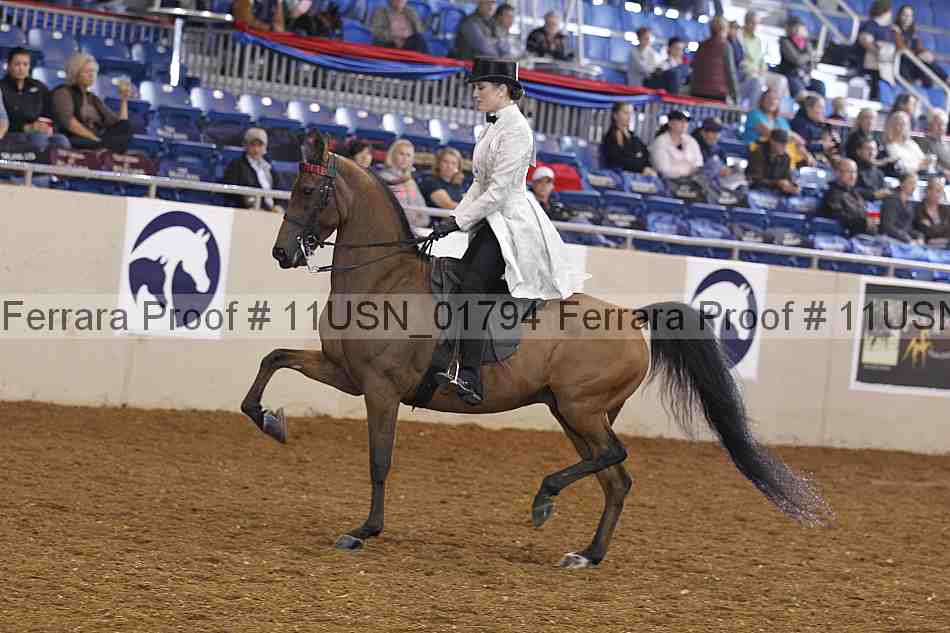 Proof 11usn_01794