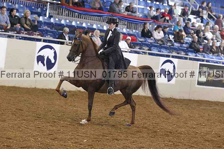 Proof 11usn_01795