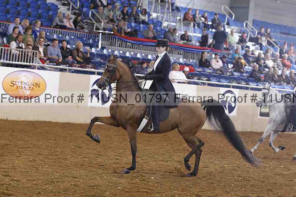 Proof 11usn_01797