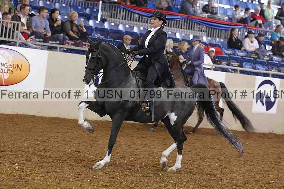 Proof 11usn_01799