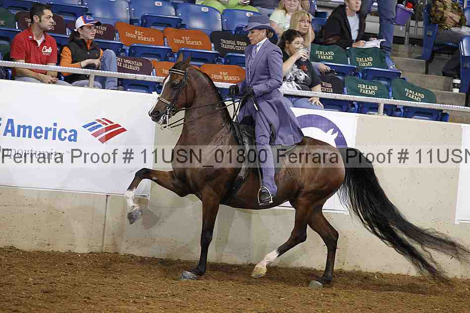 Proof 11usn_01800