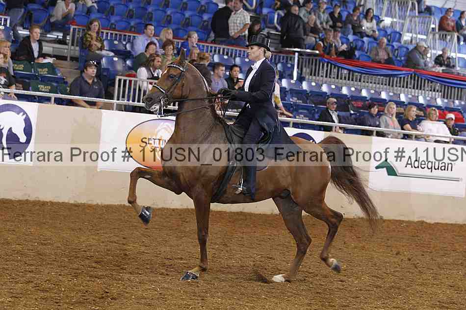 Proof 11usn_01803