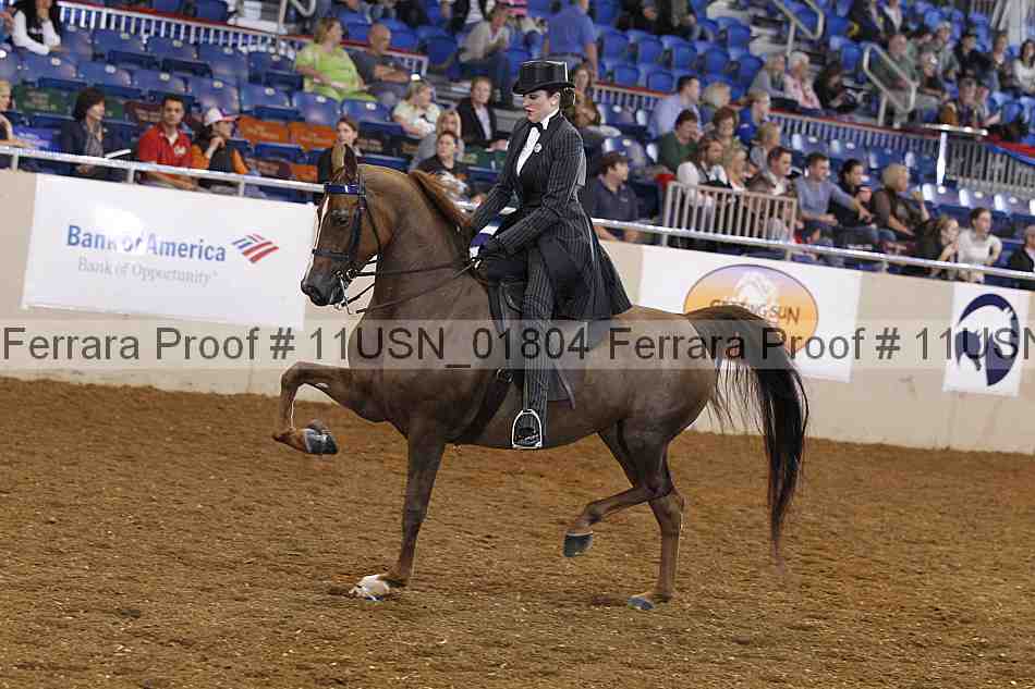 Proof 11usn_01804